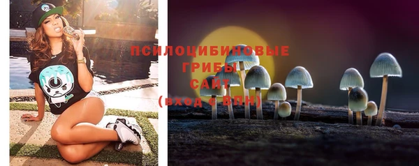 трава Балахна