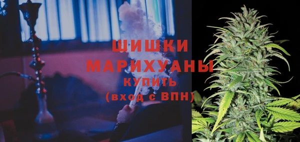 трава Балахна