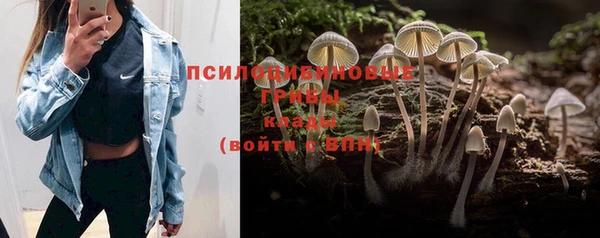 трава Балахна