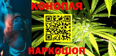 крисы Бийск