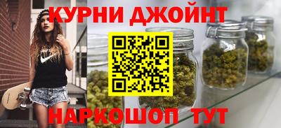 крисы Бийск