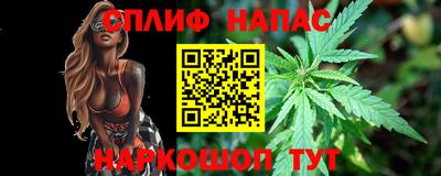 крисы Бийск