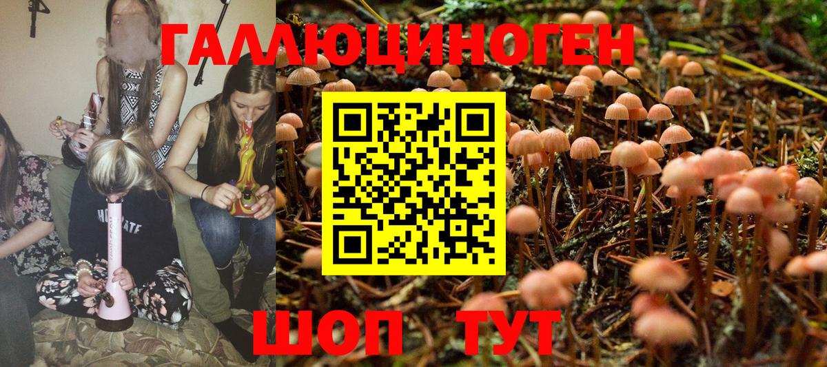 Галлюциногенные грибы мухоморы  Вязники  Псилоцибиновые грибы мицелий 