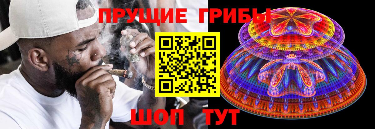 Галлюциногенные грибы Psilocybine cubensis Вязники
